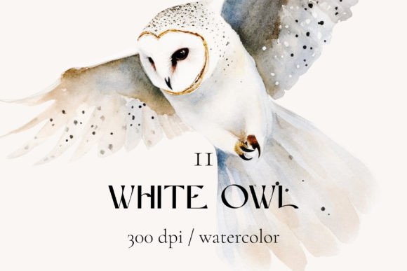 White Owl Watercolor Clipart for Decorative Elements